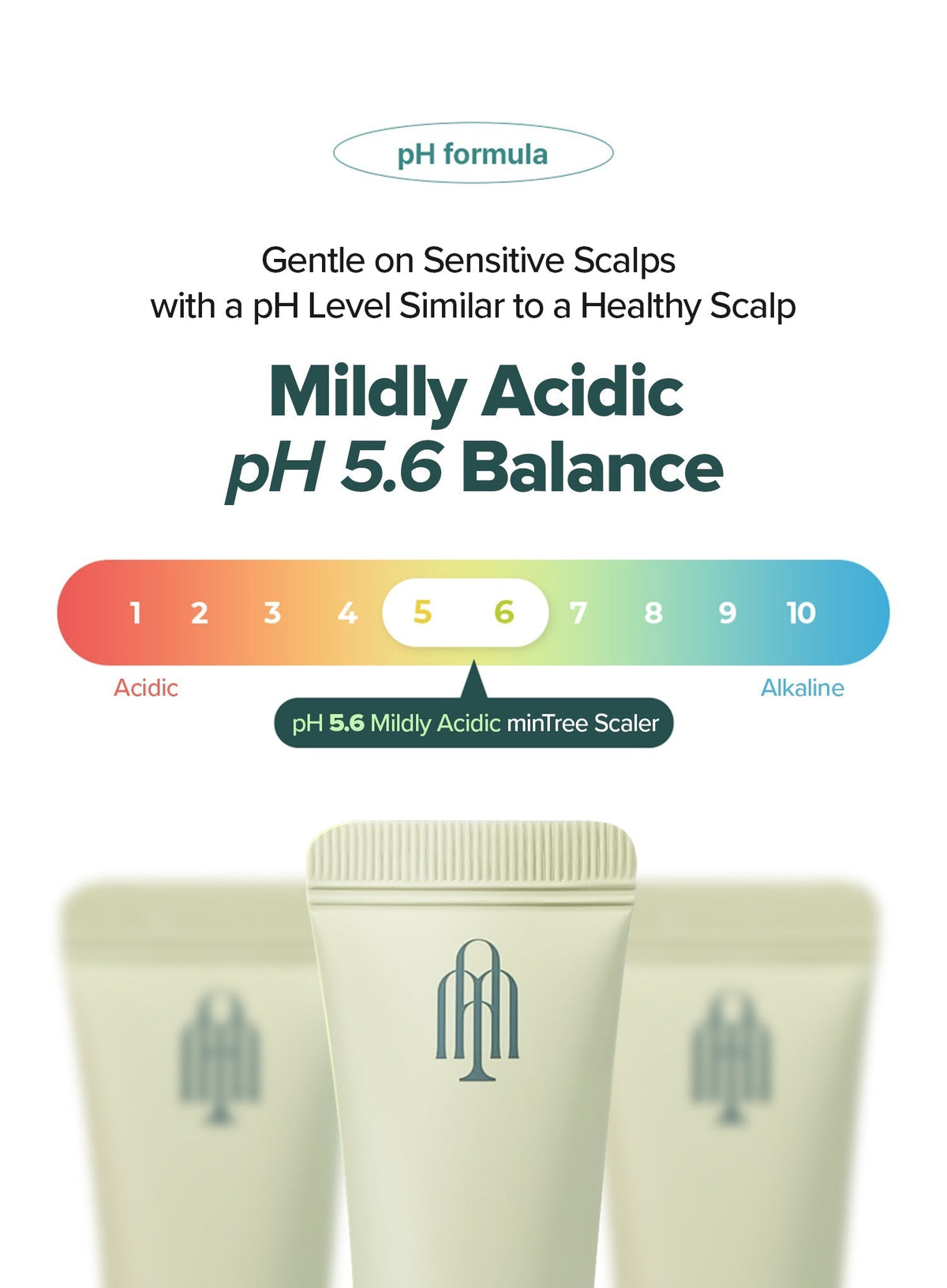 Sparkling Scalp Scaler (15g*5ea)