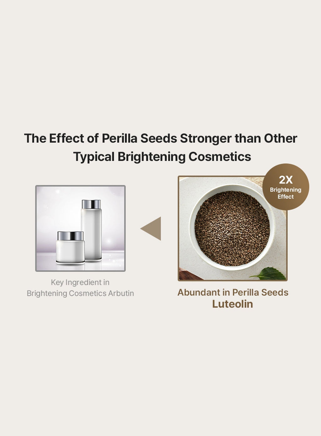 Perilla Brightening Cream Plus Duo Set (50g*2ea)