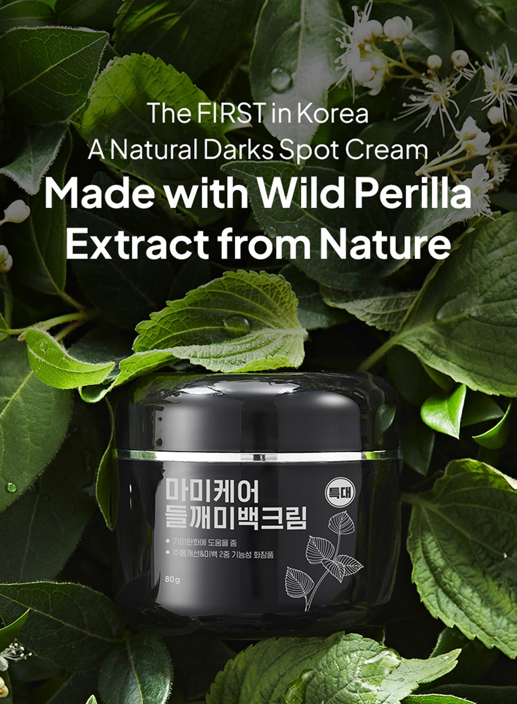 Perilla Brightening Cream Extra Large Duo Set (80g*2ea)