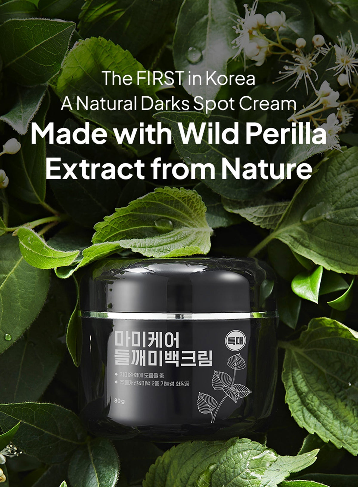 Perilla Brightening Cream Extra Large Duo Set (80g*2ea)