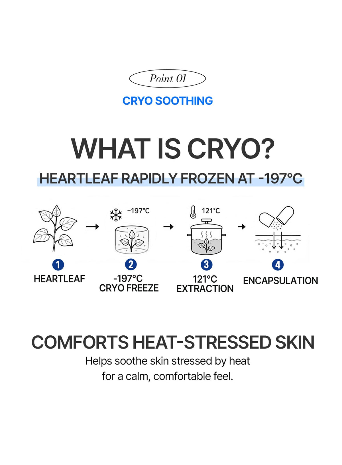 Badafull Cryo Roje™ Essence (80ml)