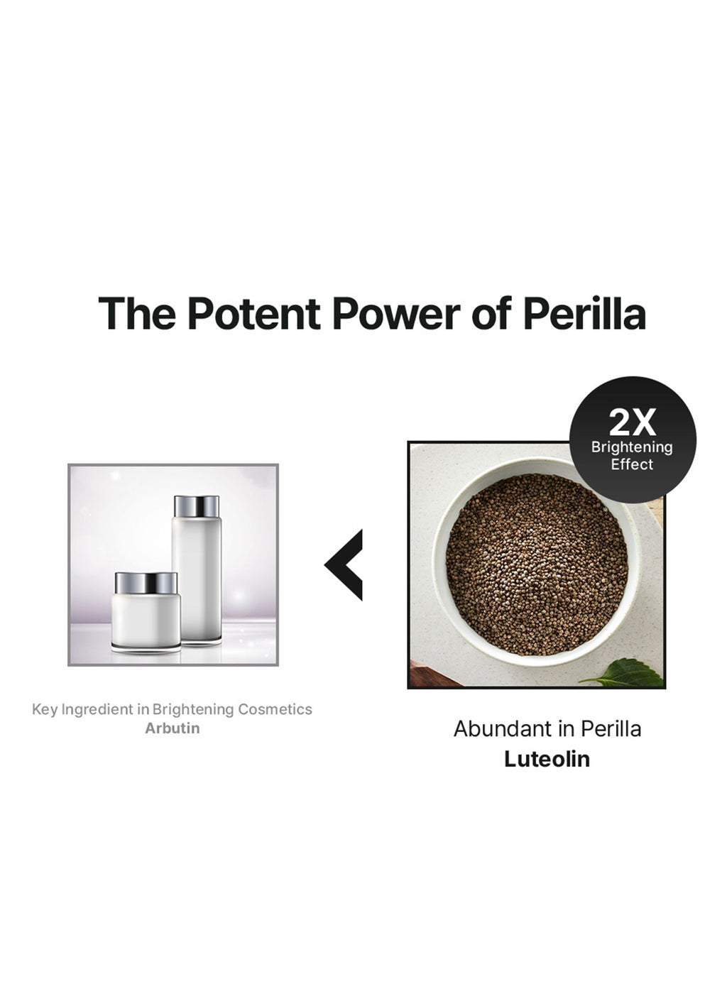 Perilla Brightening Serum (50ml)