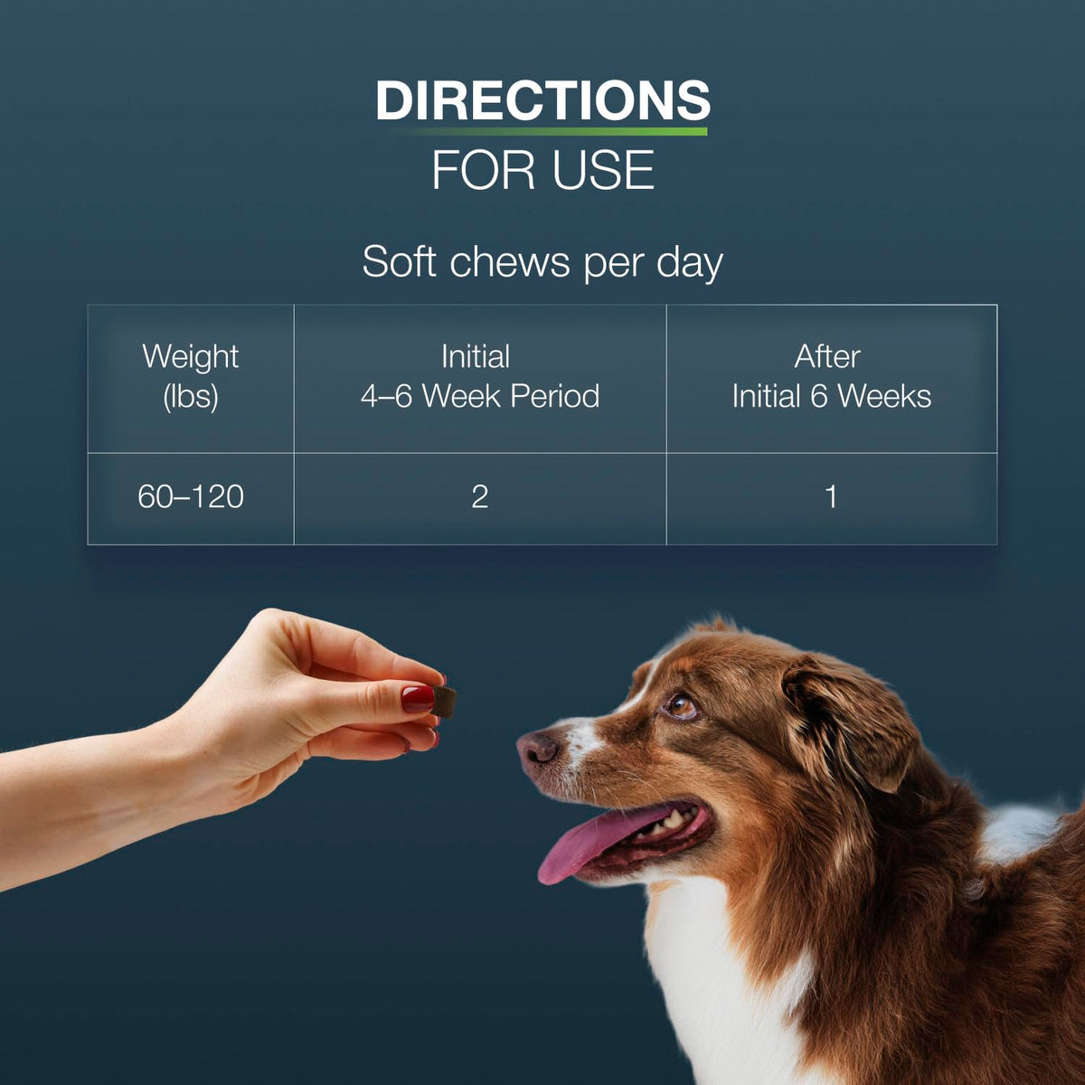 Nutramax Dasuquin MSM Joint Supplement for Large Dogs, Soft Chews, 150ct