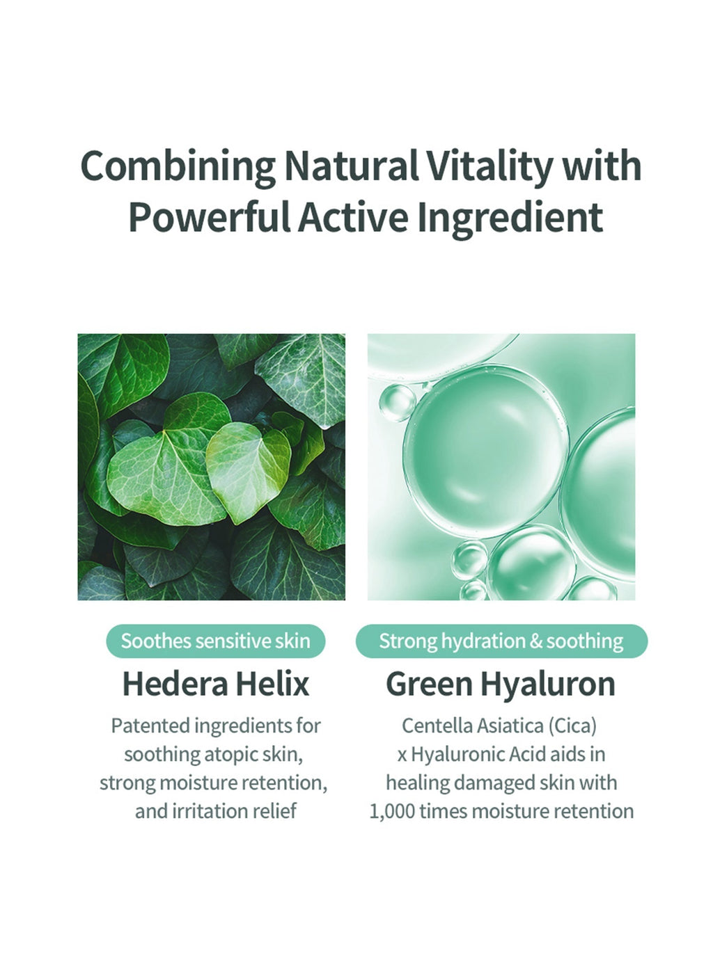 Hedera Helix Green Hyaluron 6s Moisture Cream (50ml)