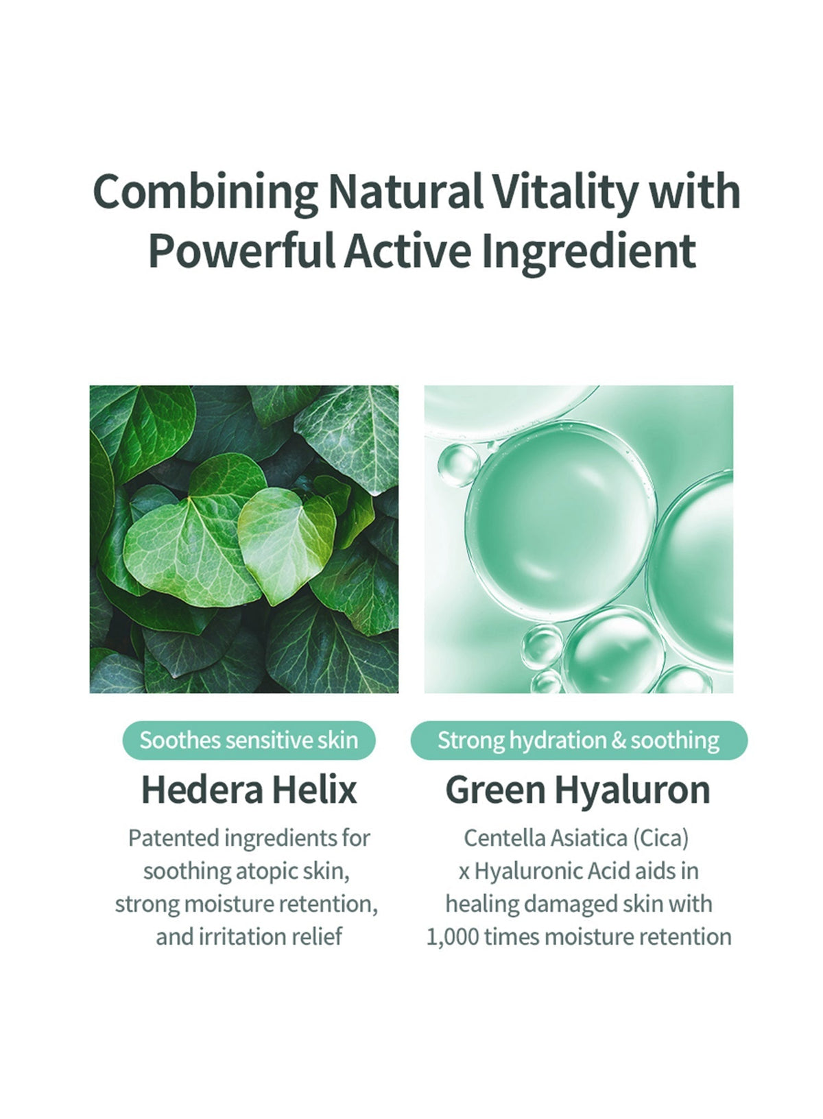 Hedera Helix Green Hyaluron 6s Moisture Cream (50ml)