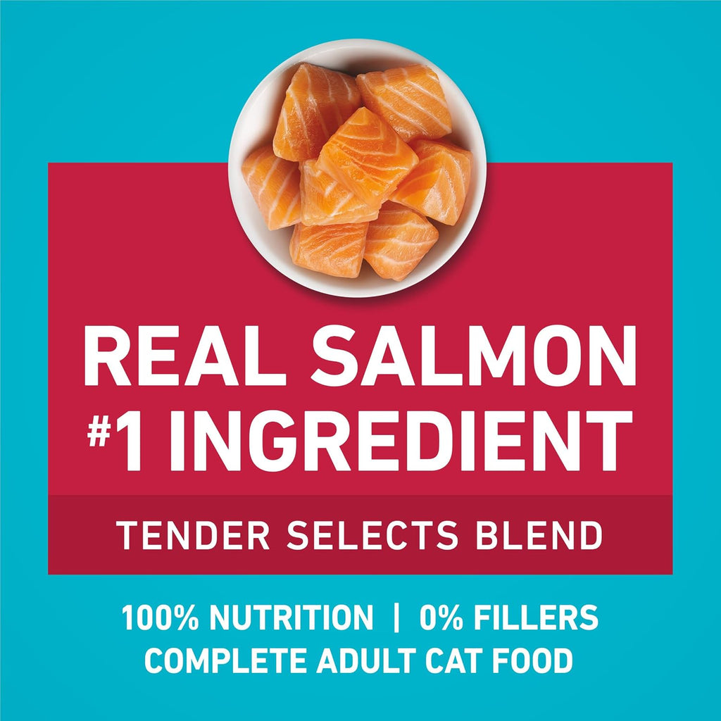 Purina ONE Digestive, Natural Dry Cat Food, Tender Selects, Salmon, 22 lb