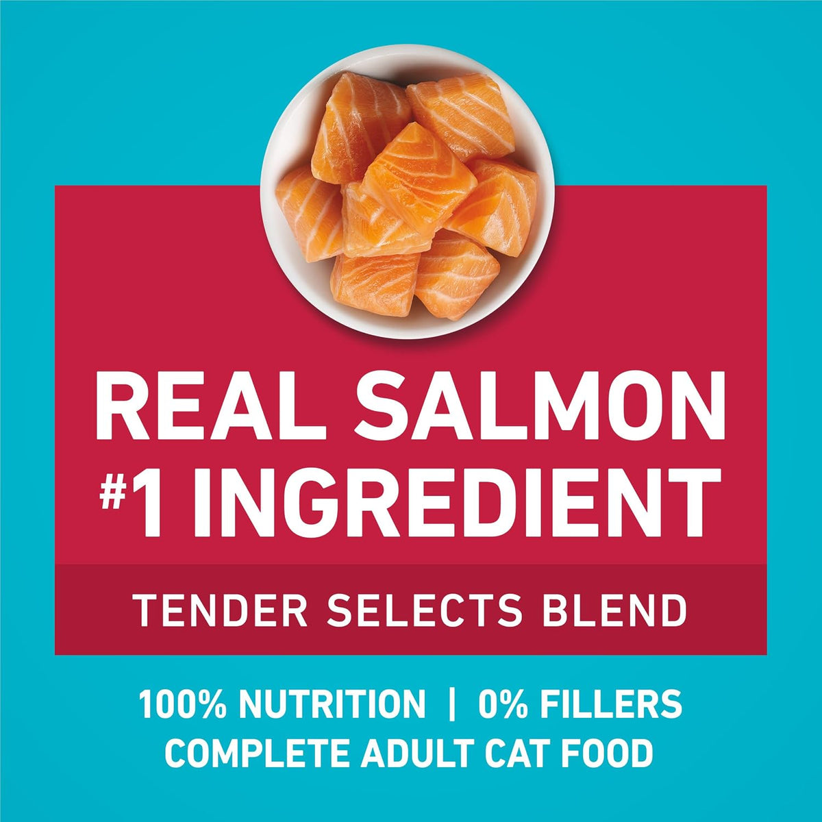 Purina ONE Digestive, Natural Dry Cat Food, Tender Selects, Salmon, 22 lb