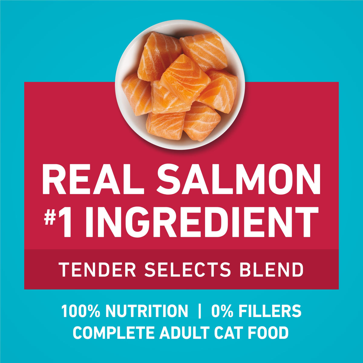 Purina ONE Digestive, Natural Dry Cat Food, Tender Selects, Salmon, 22 lb