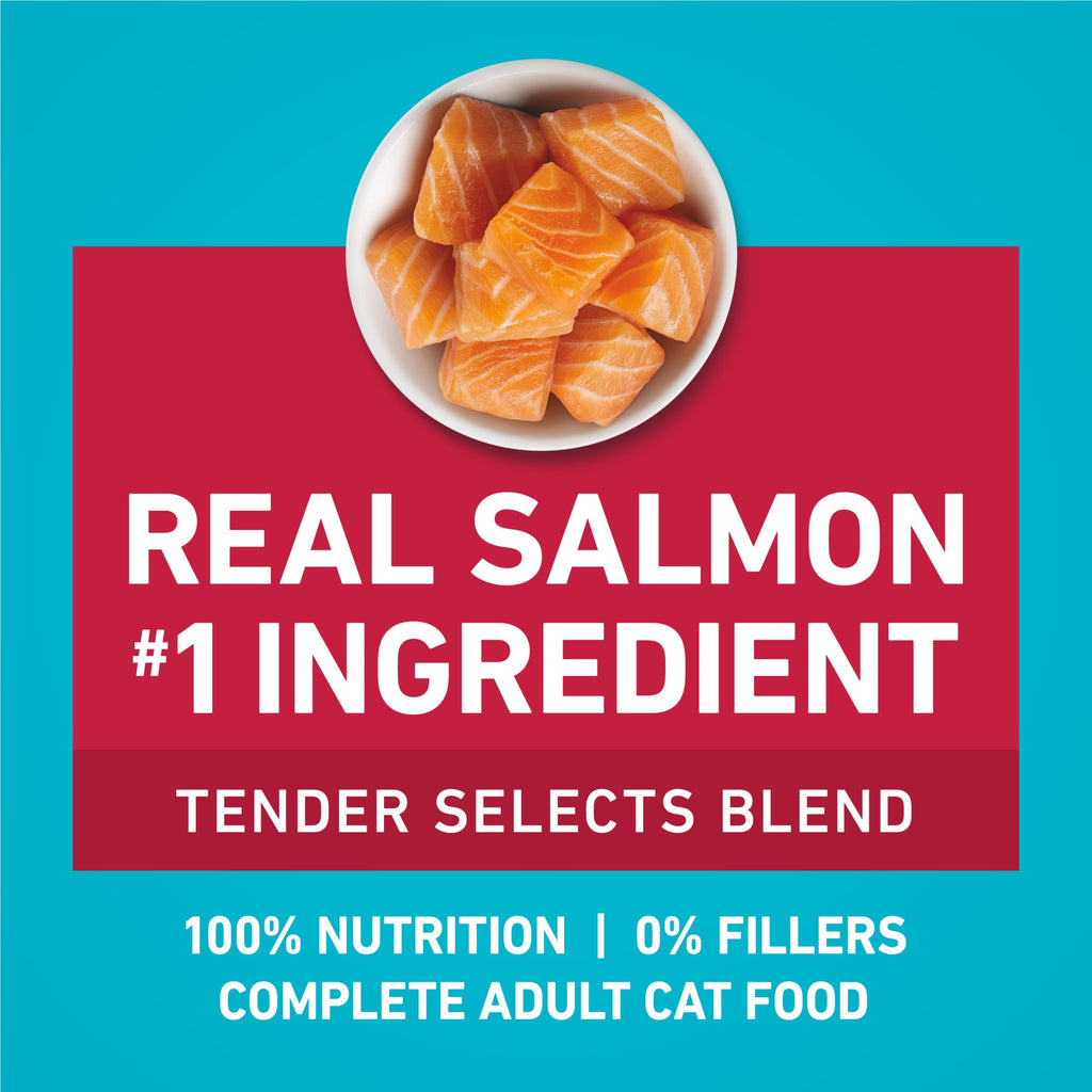 Purina ONE Digestive, Natural Dry Cat Food, Tender Selects, Salmon, 22 lb