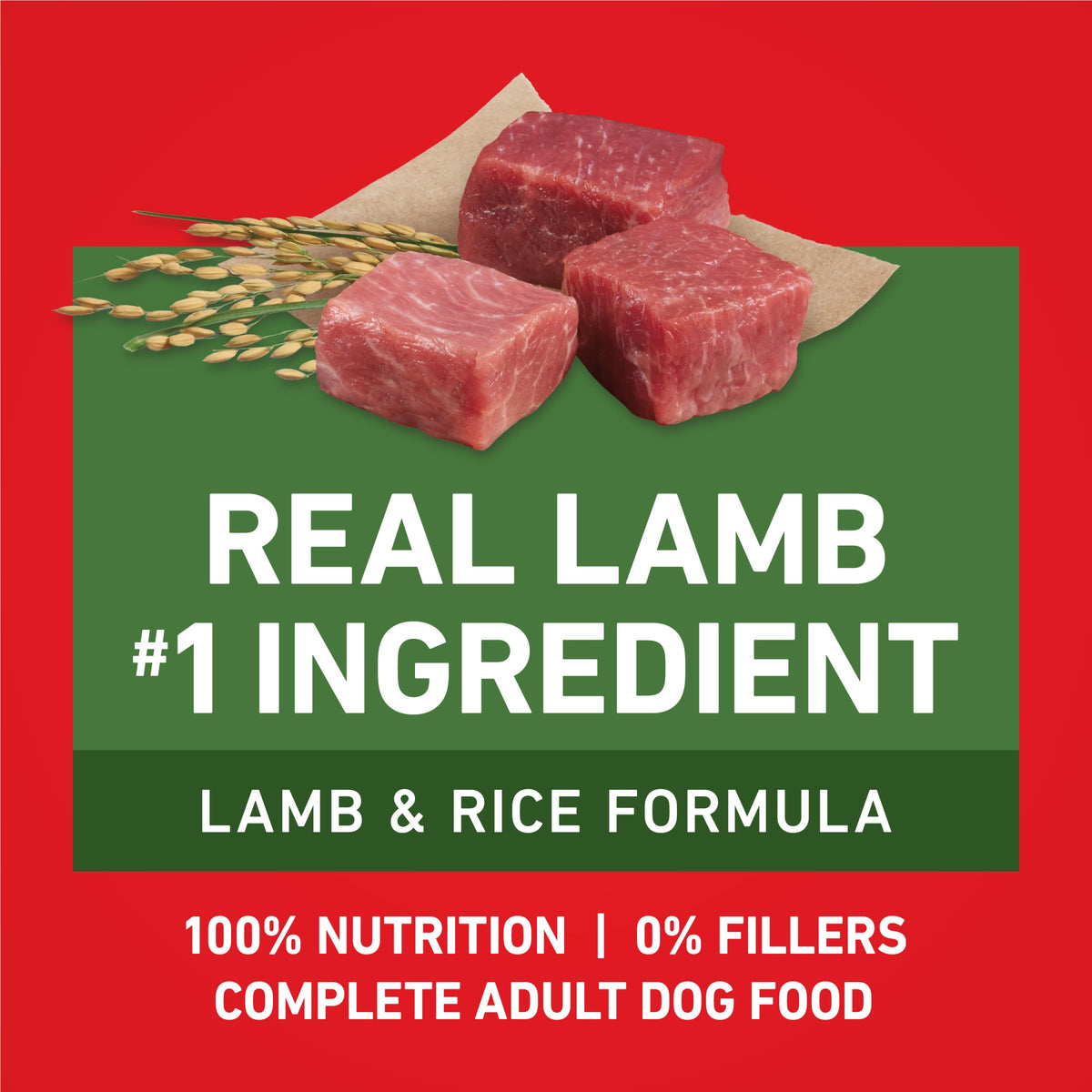 Purina ONE Chicken and Rice Formula Natural Dog Food
