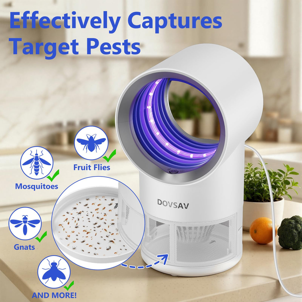 Fruit Fly Traps for Indoors, White Gnat Trap Indoor with Suction & Timer