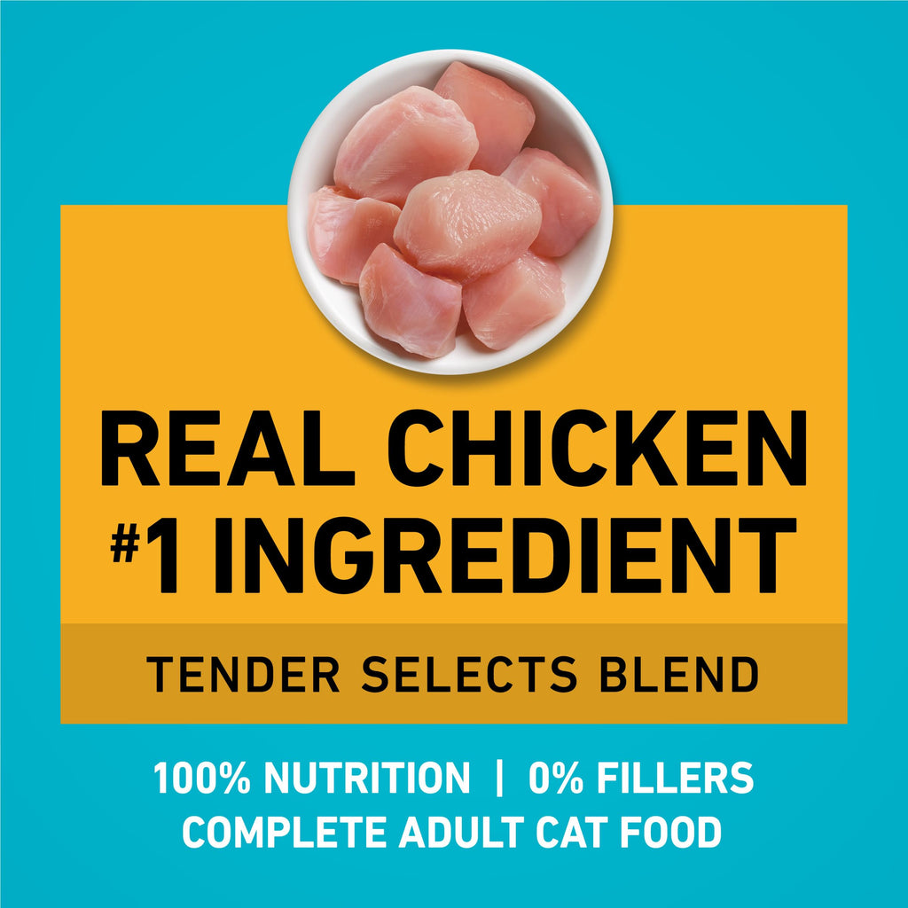 Purina ONE Digestive, Natural Dry Cat Food, Tender Selects, Salmon, 22 lb