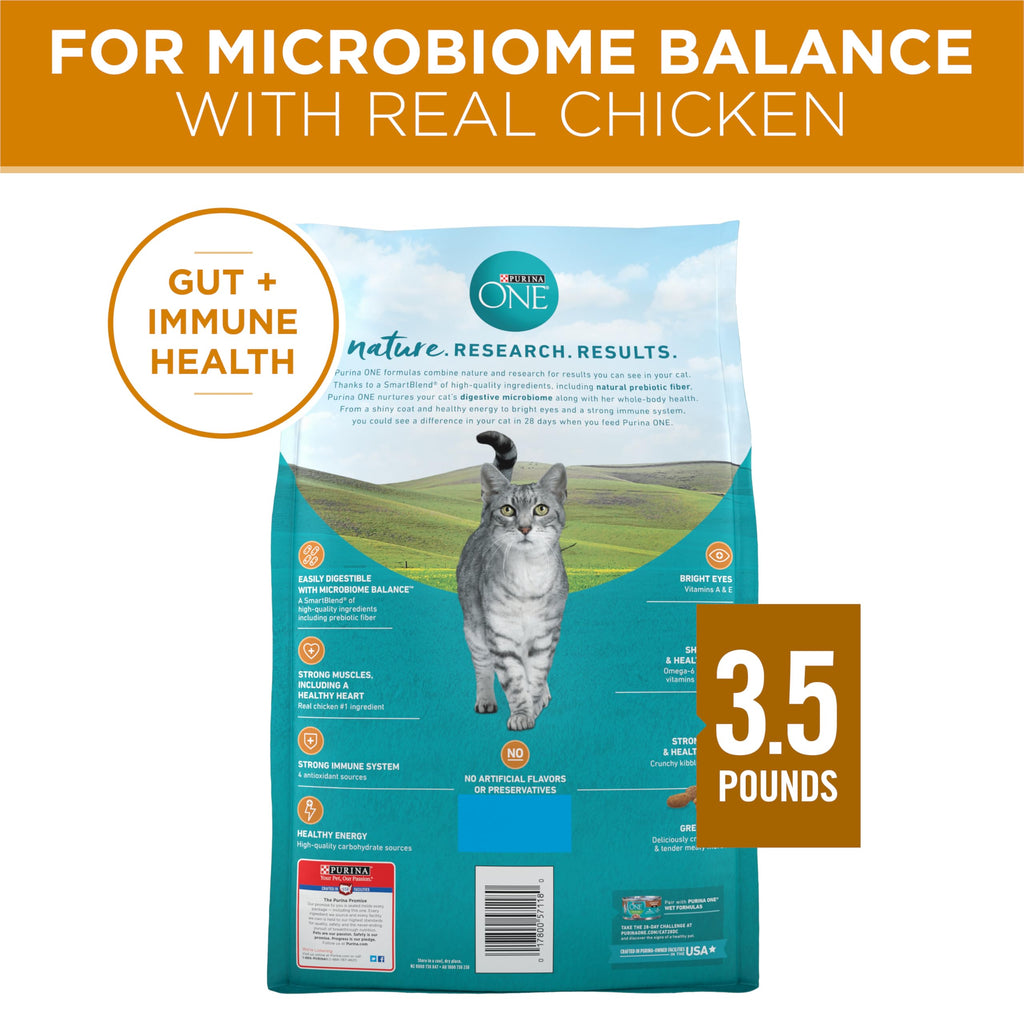 Purina ONE Digestive, Natural Dry Cat Food, Tender Selects, Salmon, 22 lb