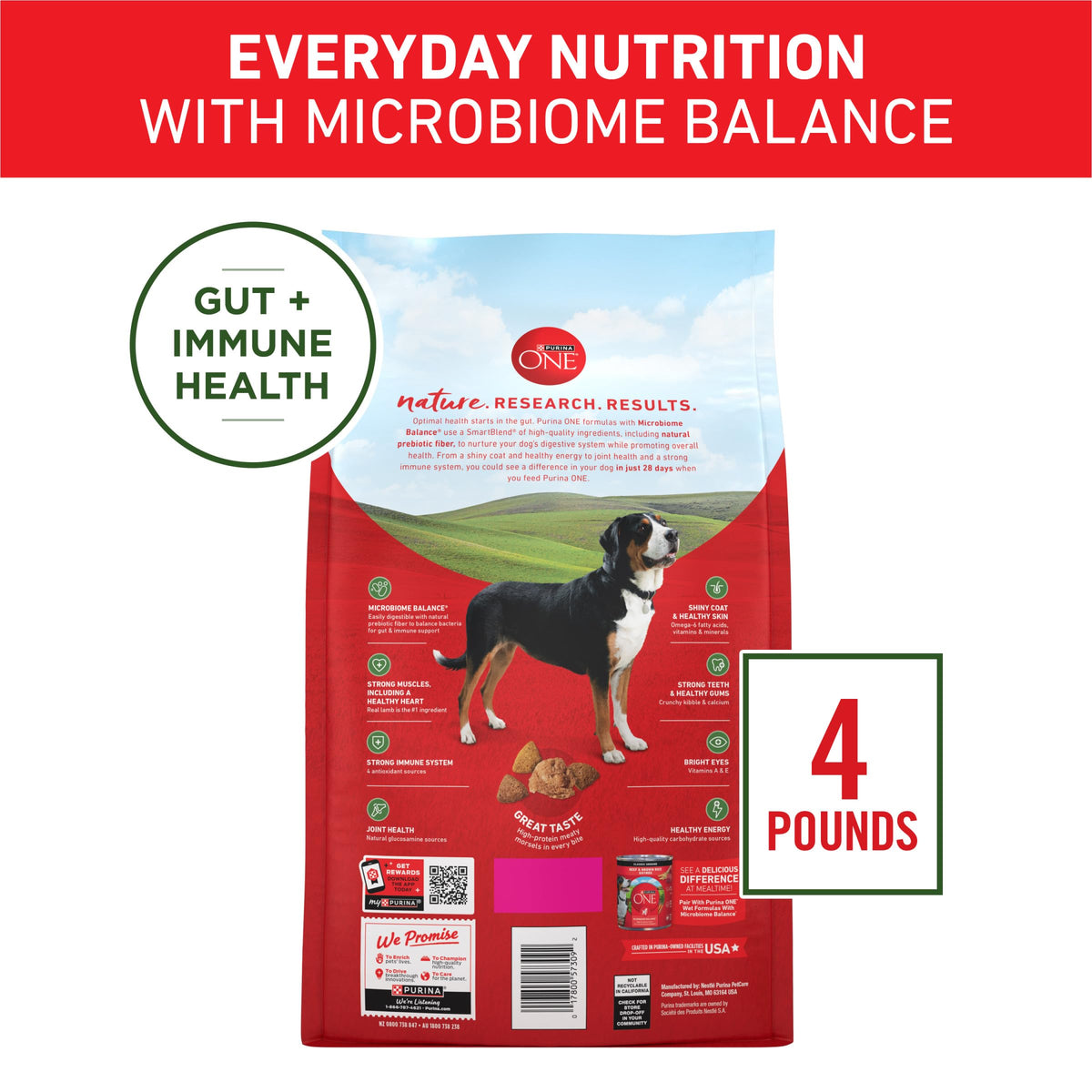 Purina ONE Chicken and Rice Formula Natural Dog Food