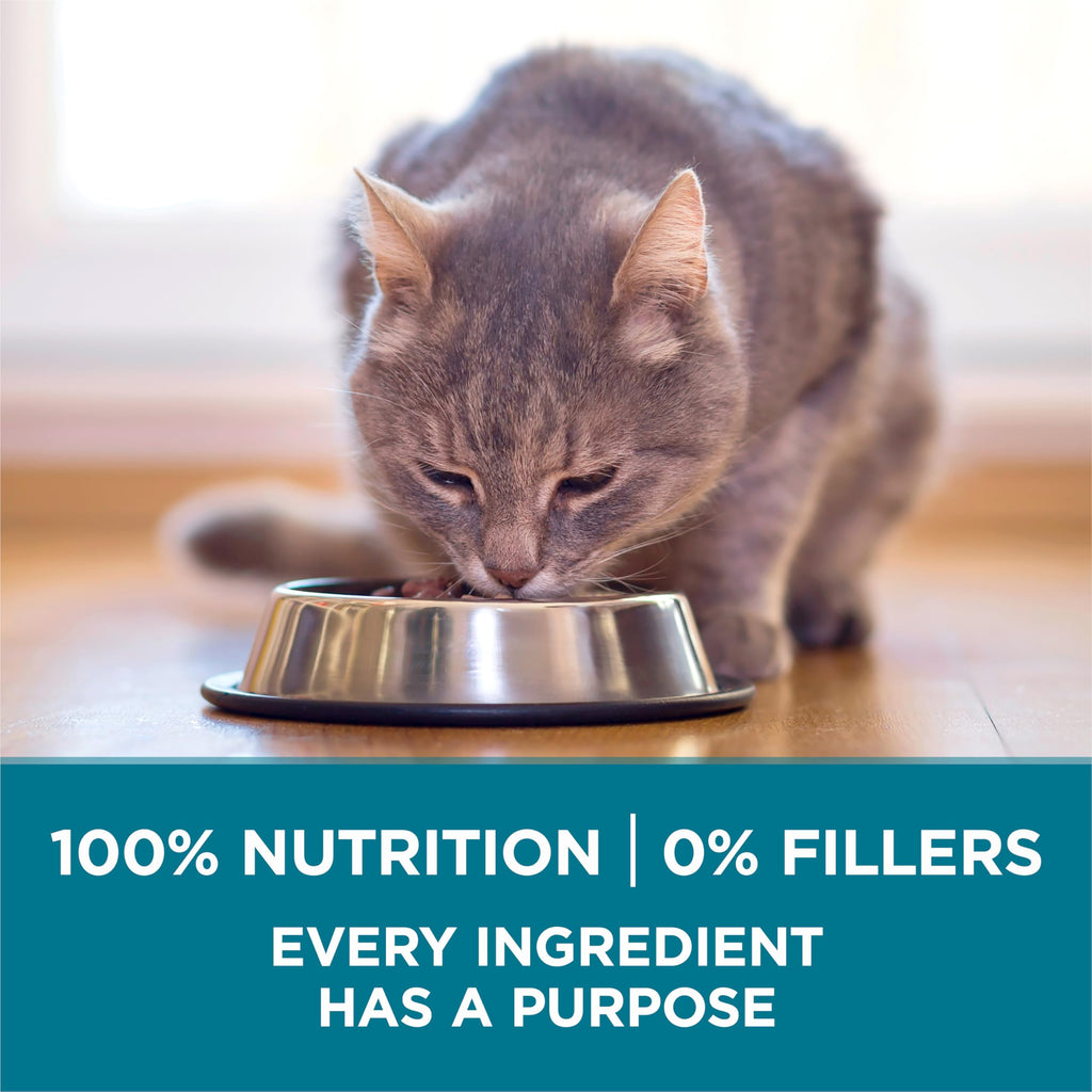 Purina ONE Digestive, Natural Dry Cat Food, Tender Selects, Salmon, 22 lb