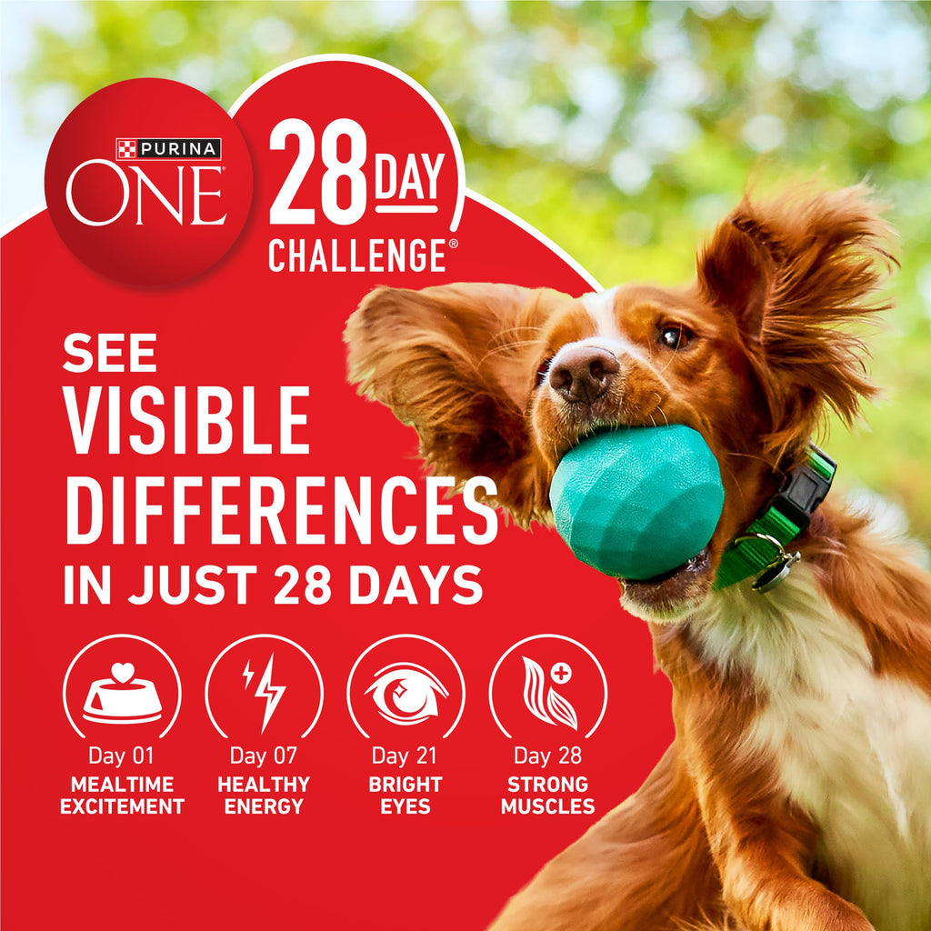 Purina ONE Chicken and Rice Formula Natural Dog Food