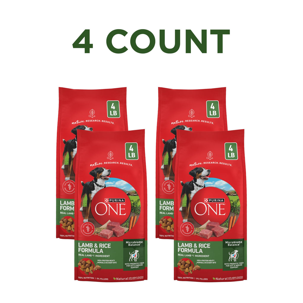 Purina ONE Chicken and Rice Formula Natural Dog Food