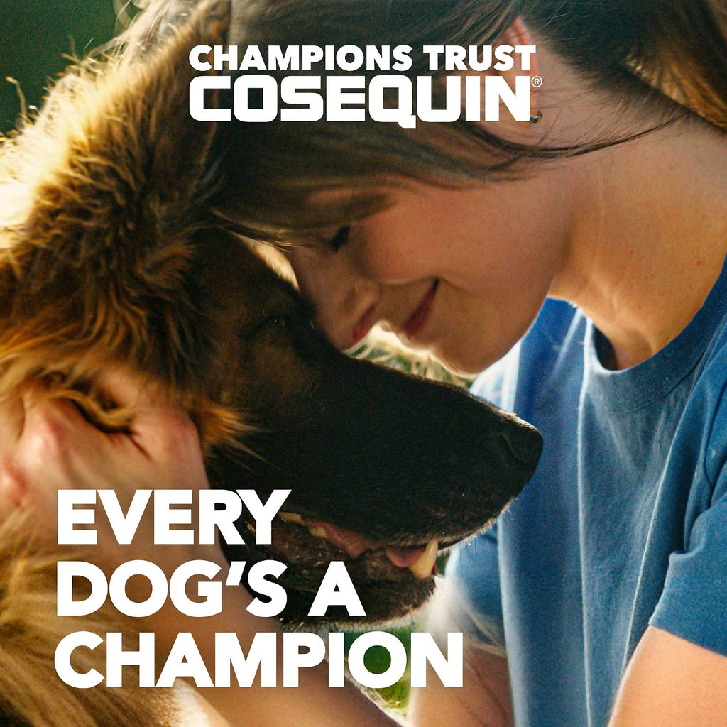 Nutramax Cosequin Maximum Strength Joint Health Supplement for Dogs - with Glucosamine, Chondroitin, MSM, and Hyaluronic Acid, 75 Chewable Tablets