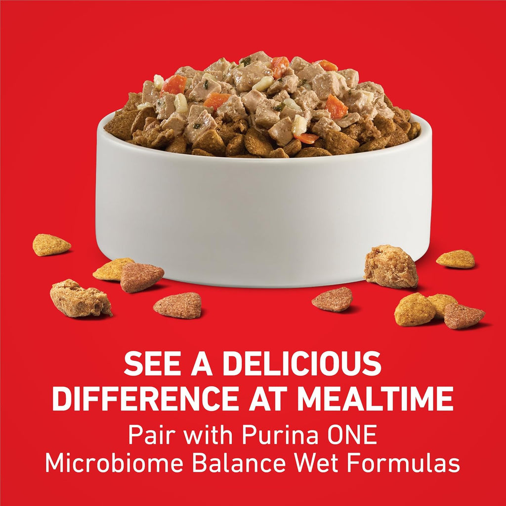 Purina ONE Chicken and Rice Formula Natural Dog Food