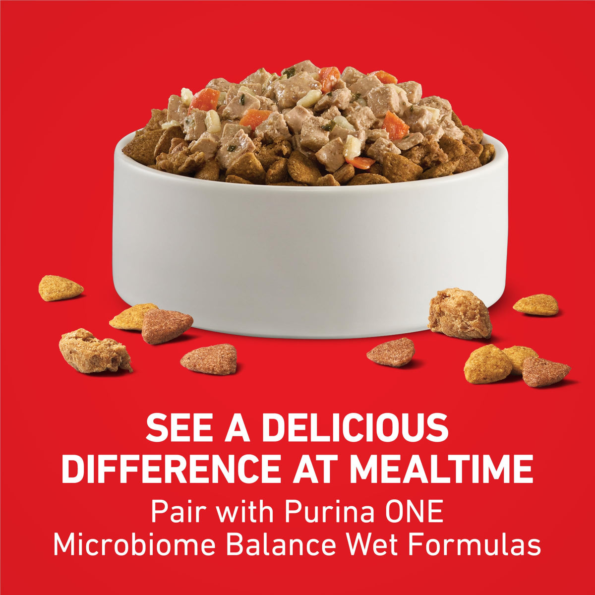 Purina ONE Chicken and Rice Formula Natural Dog Food