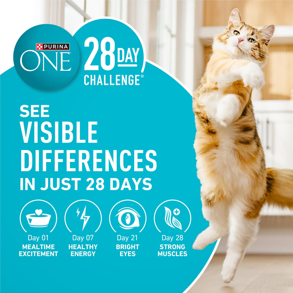 Purina ONE Digestive, Natural Dry Cat Food, Tender Selects, Salmon, 22 lb