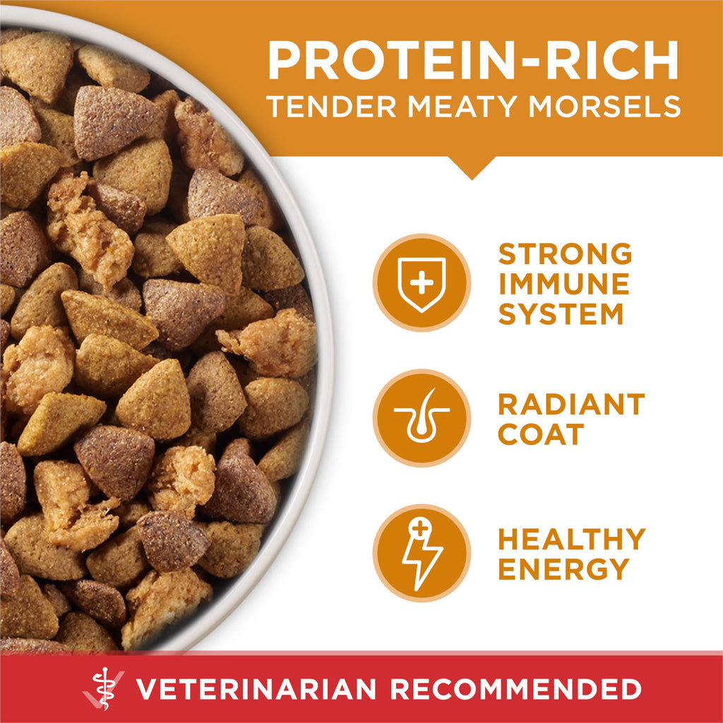 Purina ONE Chicken and Rice Formula Natural Dog Food