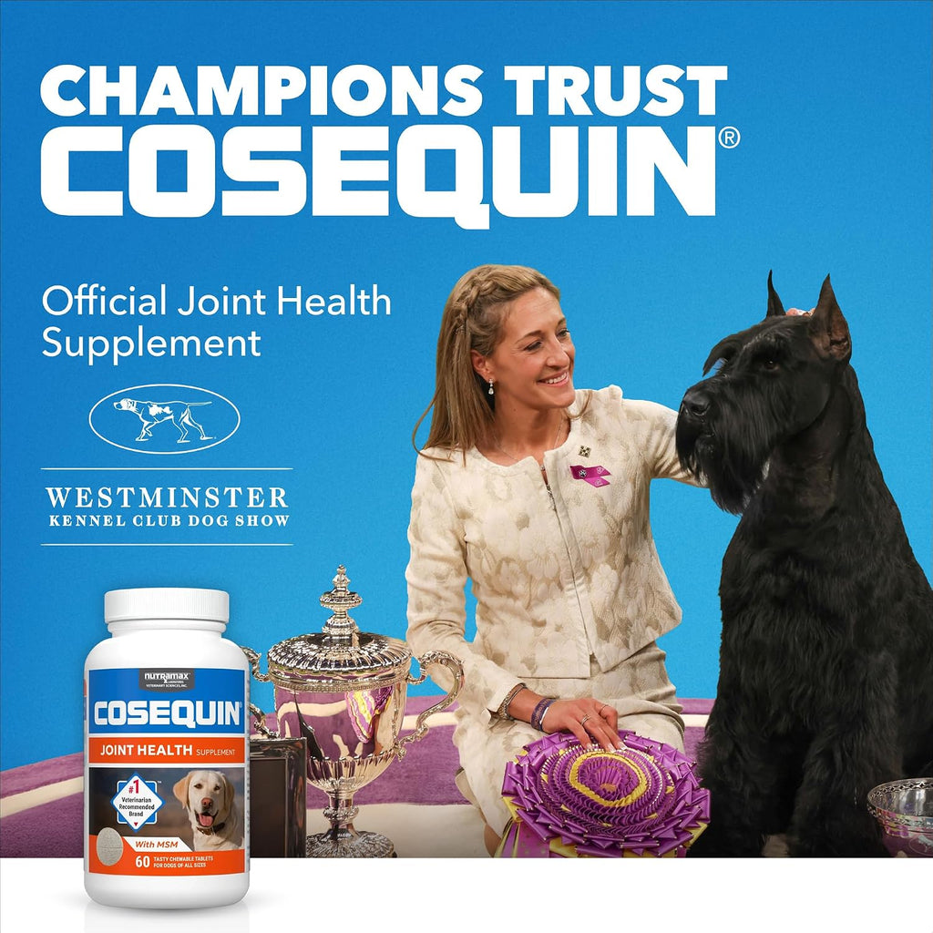 Nutramax Cosequin Maximum Strength Joint Health Supplement for Dogs - with Glucosamine, Chondroitin, MSM, and Hyaluronic Acid, 75 Chewable Tablets