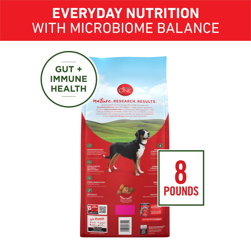 Purina ONE Chicken and Rice Formula Natural Dog Food