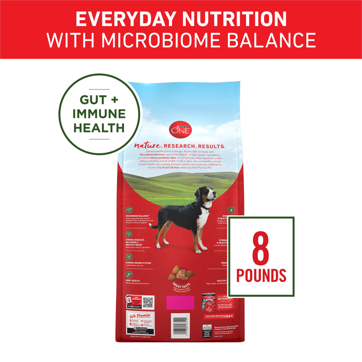 Purina ONE Chicken and Rice Formula Natural Dog Food