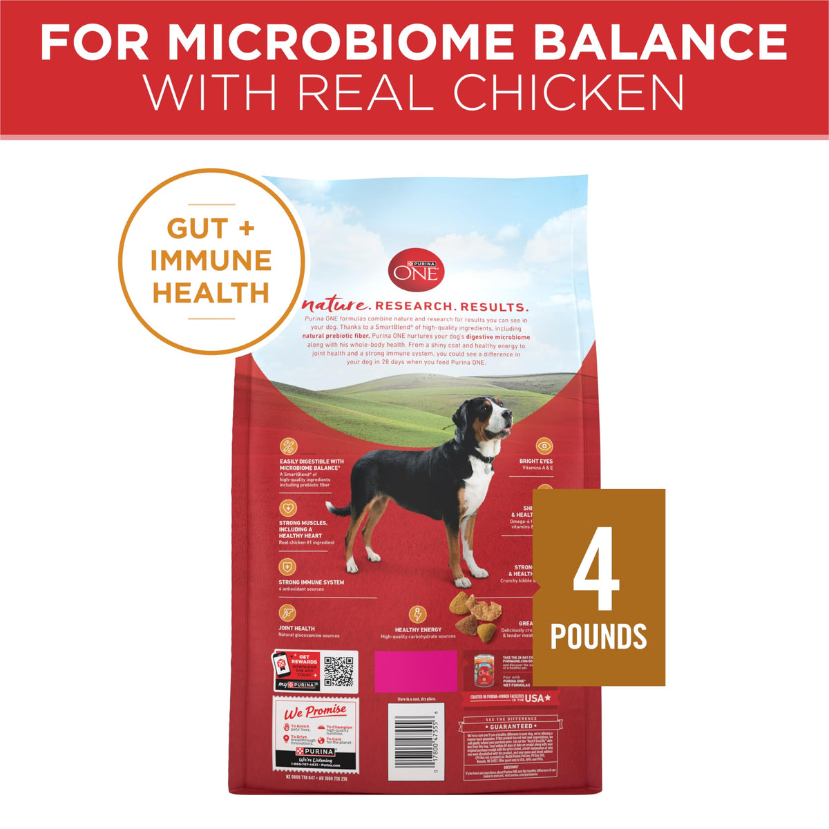 Purina ONE Chicken and Rice Formula Natural Dog Food
