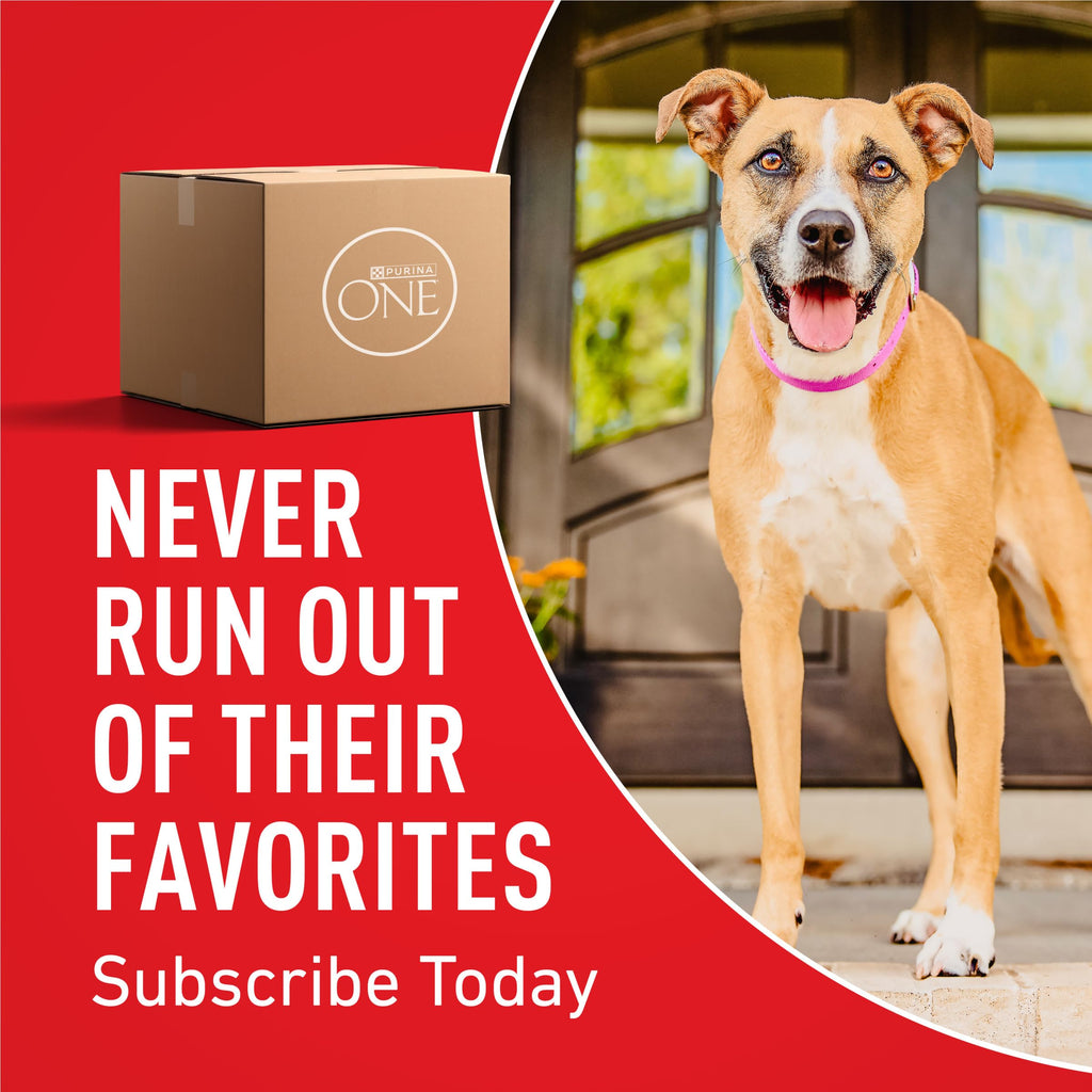 Purina ONE Chicken and Rice Formula Natural Dog Food