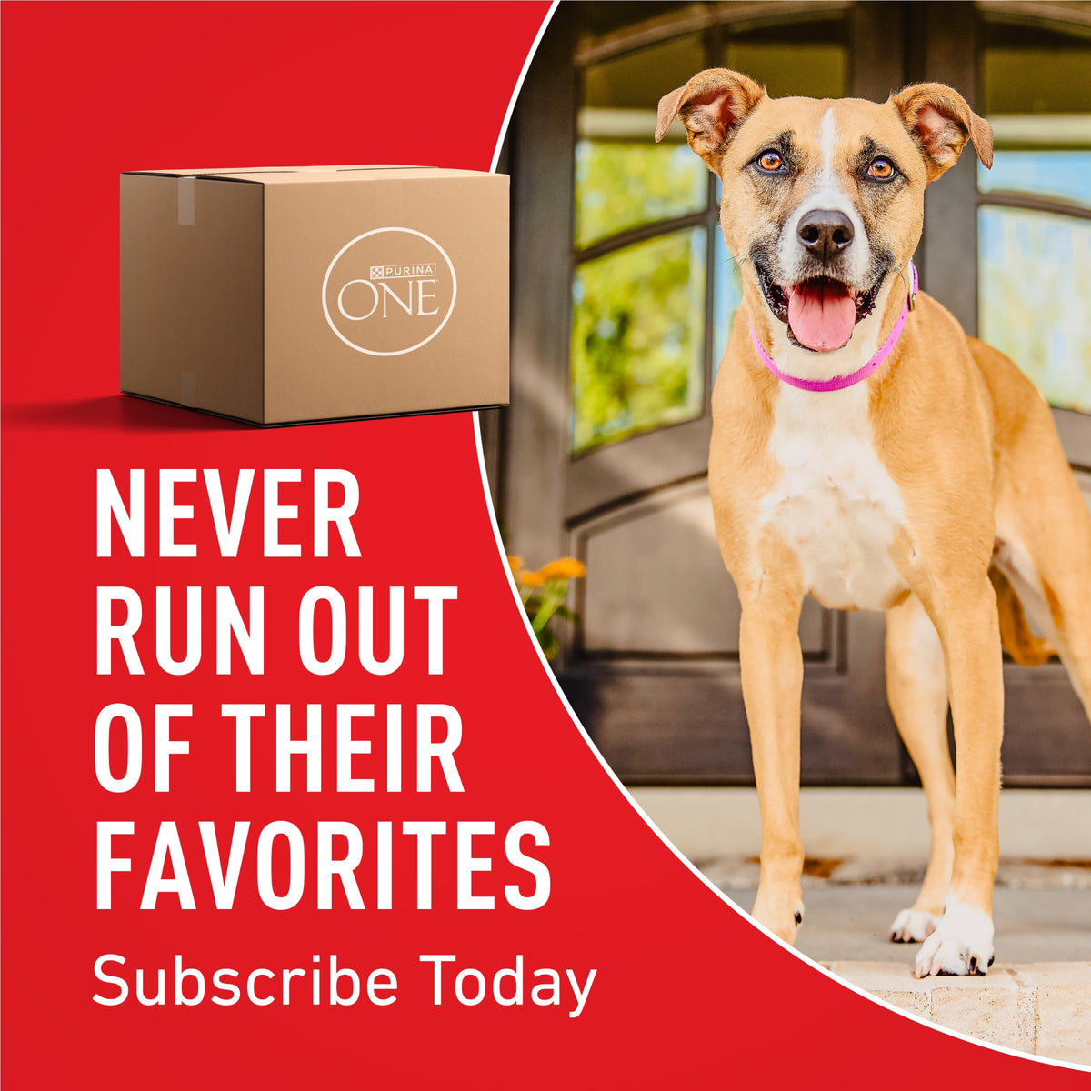 Purina ONE Chicken and Rice Formula Natural Dog Food