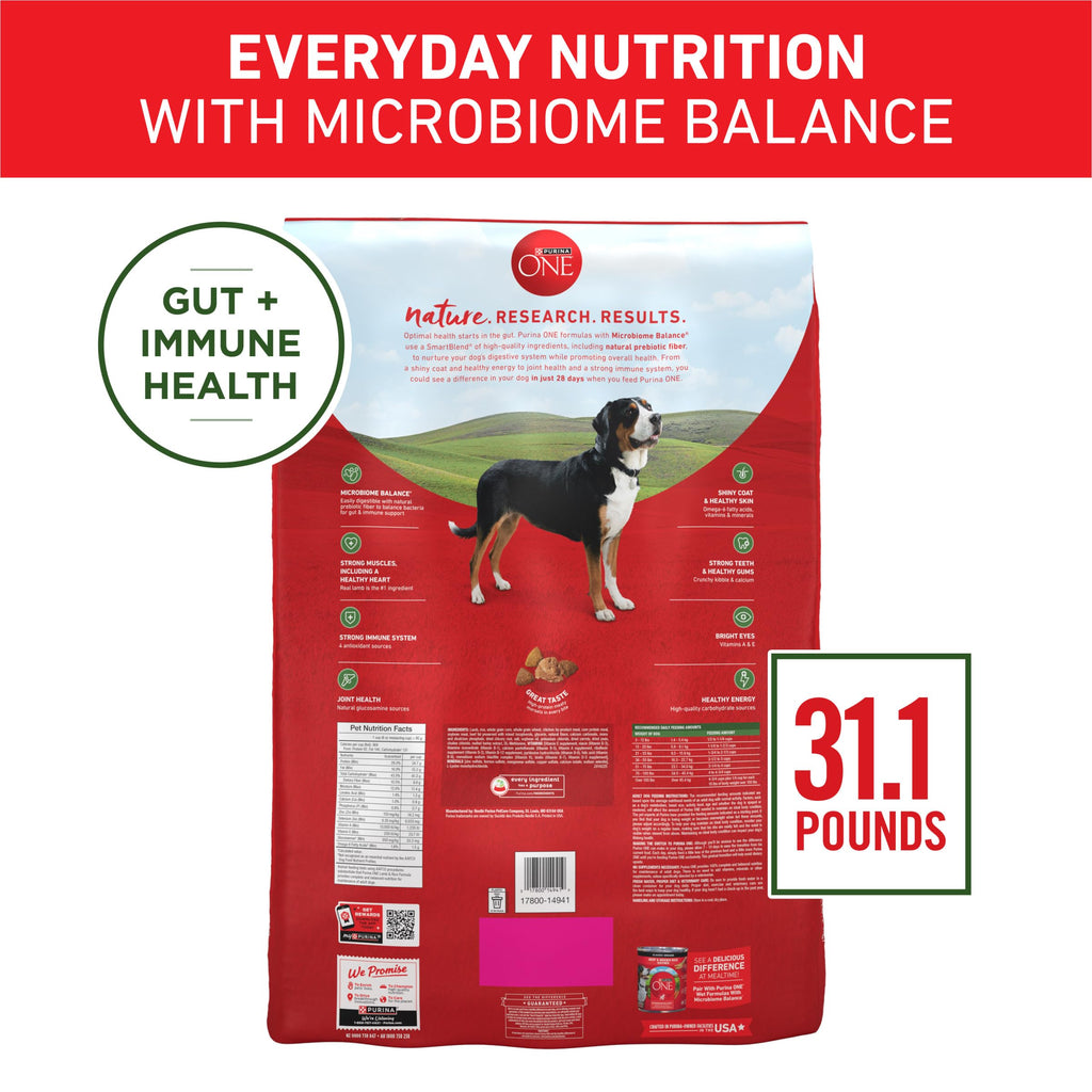 Purina ONE Chicken and Rice Formula Natural Dog Food
