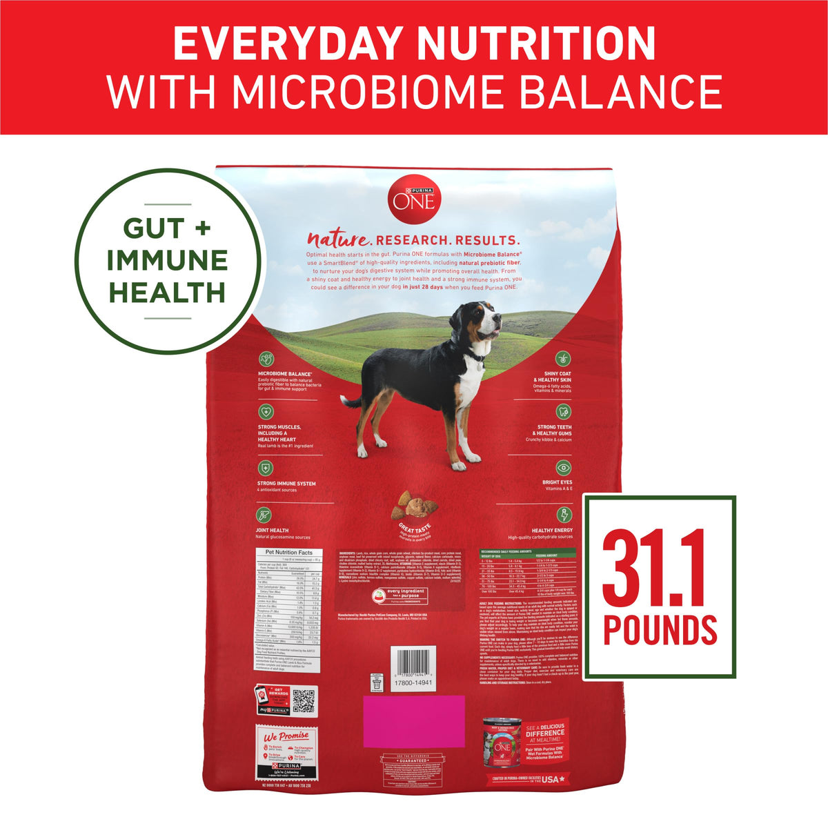Purina ONE Chicken and Rice Formula Natural Dog Food