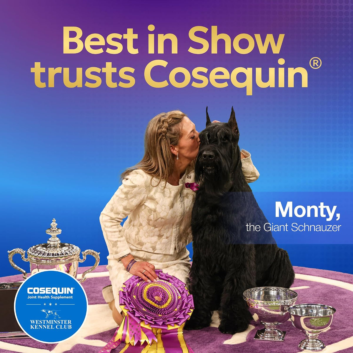 Nutramax Cosequin Maximum Strength Joint Health Supplement for Dogs - with Glucosamine, Chondroitin, MSM, and Hyaluronic Acid, 75 Chewable Tablets
