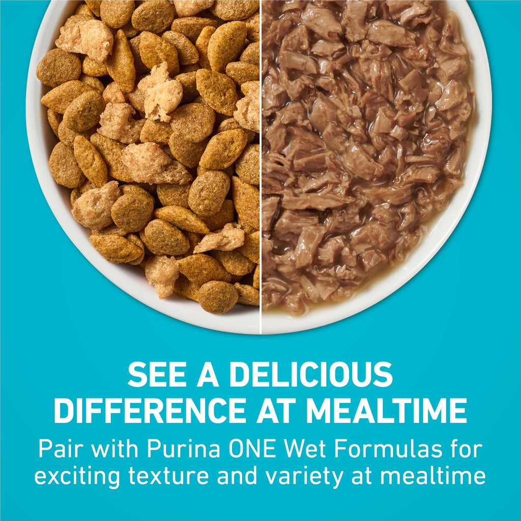 Purina ONE Digestive, Natural Dry Cat Food, Tender Selects, Salmon, 22 lb