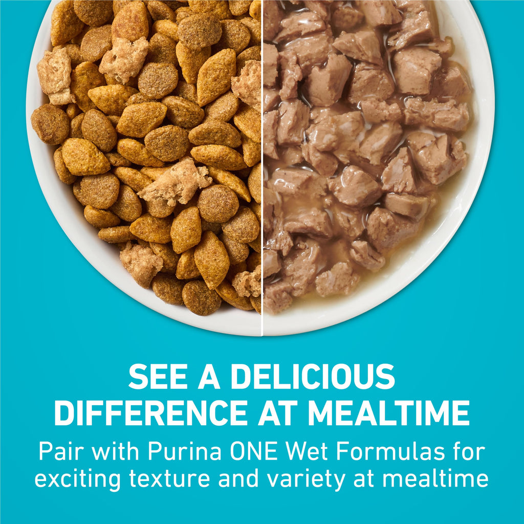Purina ONE Digestive, Natural Dry Cat Food, Tender Selects, Salmon, 22 lb