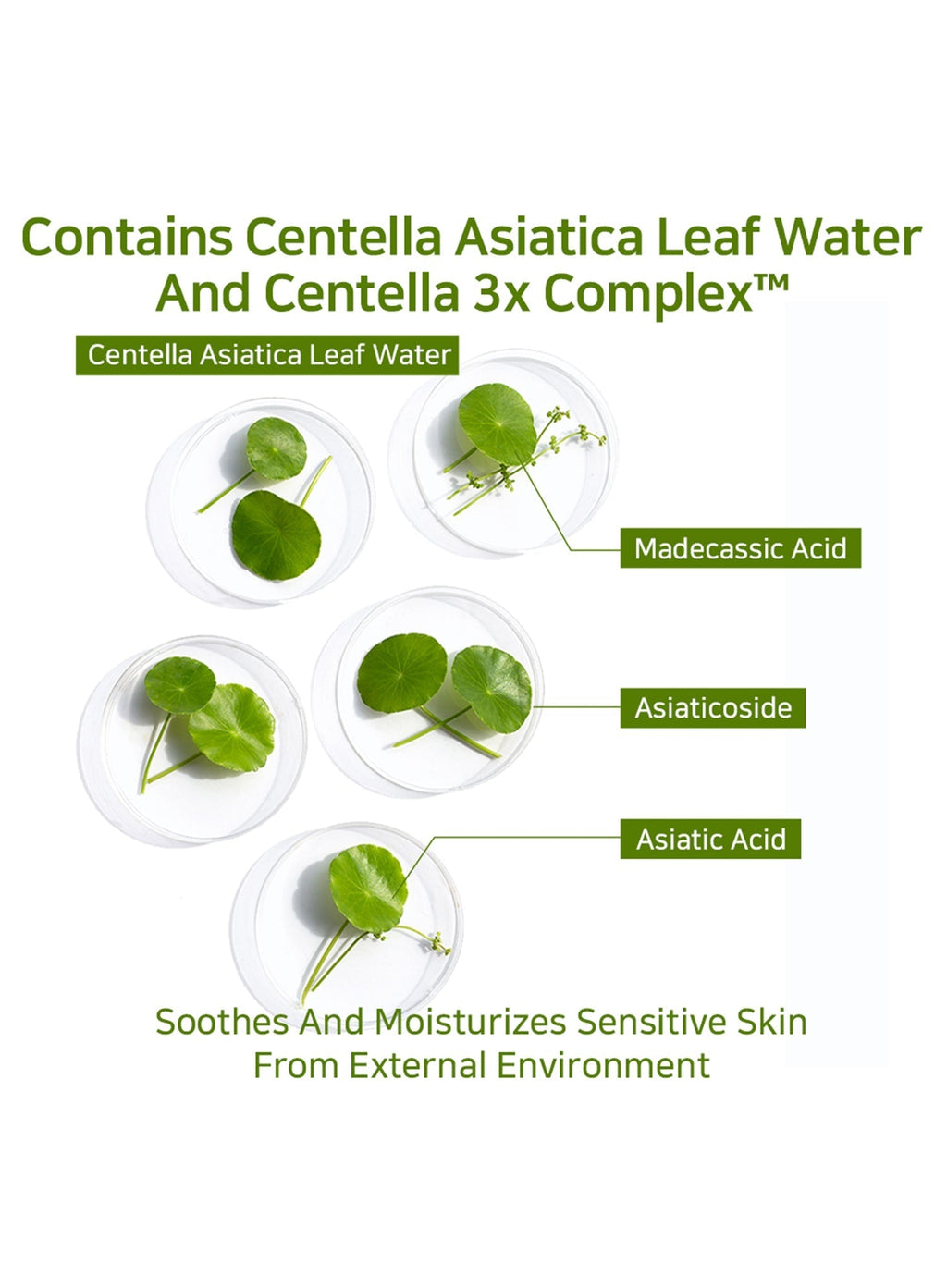 Azelaic Acid Peptide Ampoule Serum (40ml)