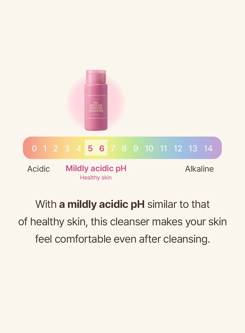 Fig Enzyme Powder Cleanser (50g)