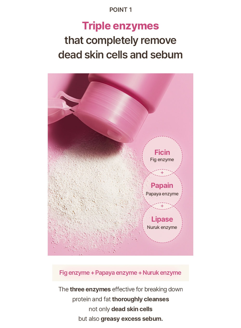 Fig Enzyme Powder Cleanser (50g)