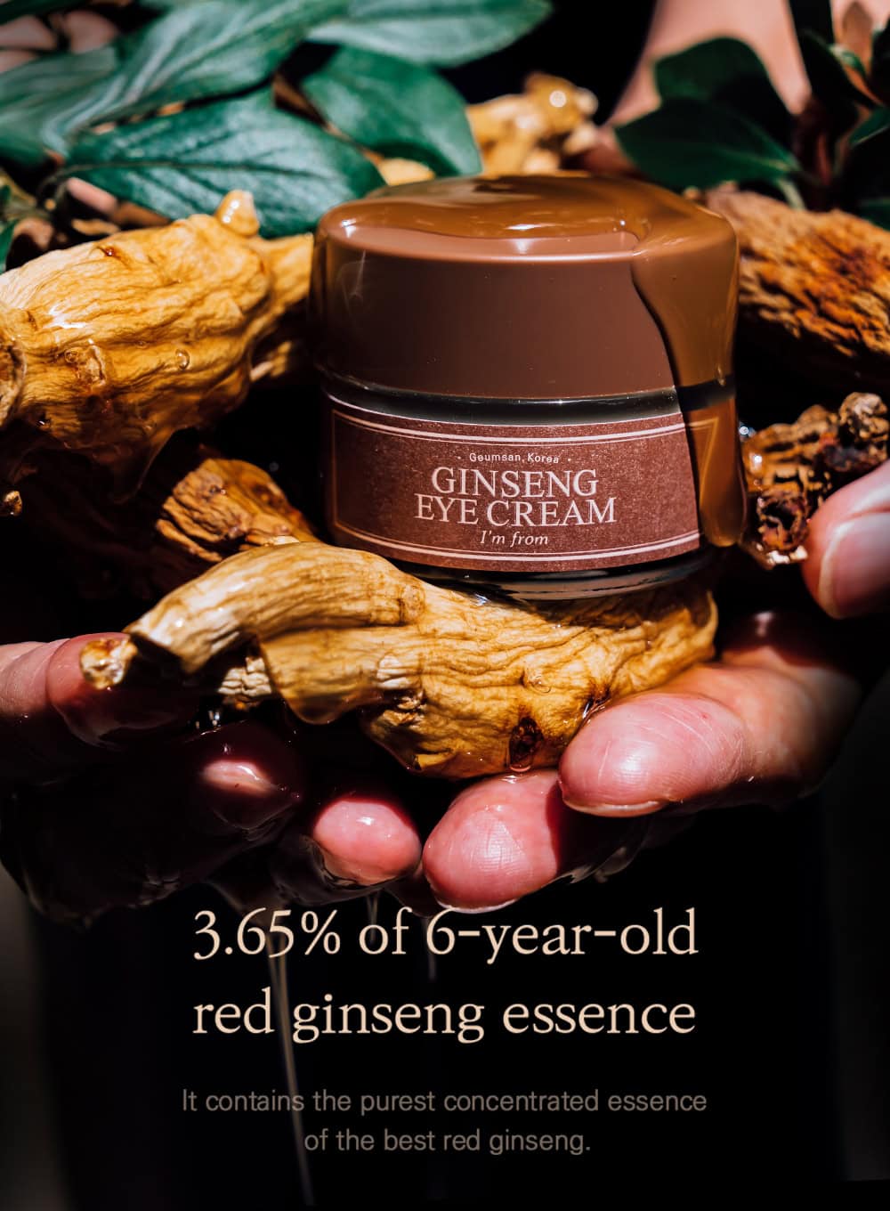 Ginseng Eye Cream Trio Set (30g*3ea)