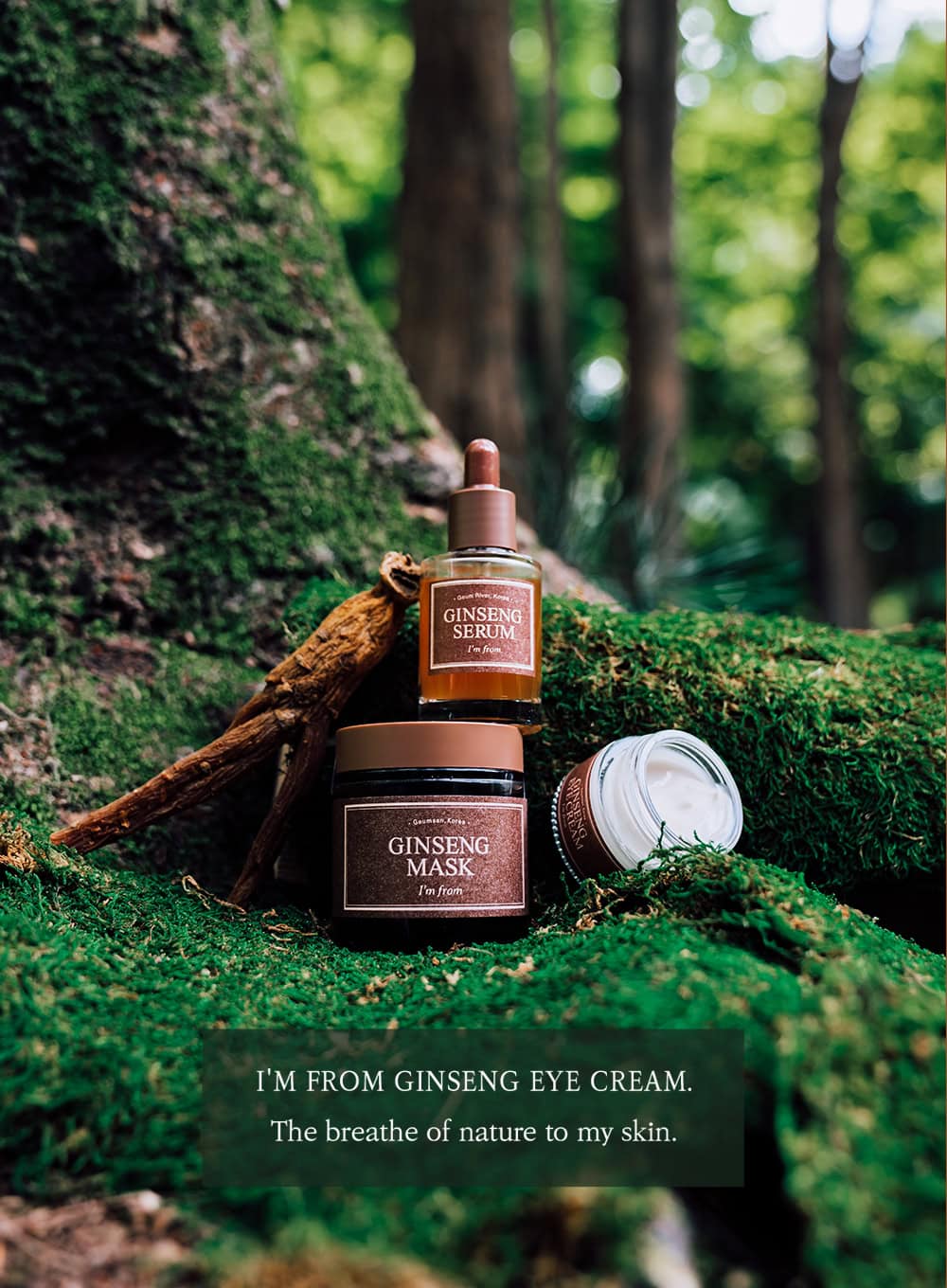 Ginseng Eye Cream (30g)