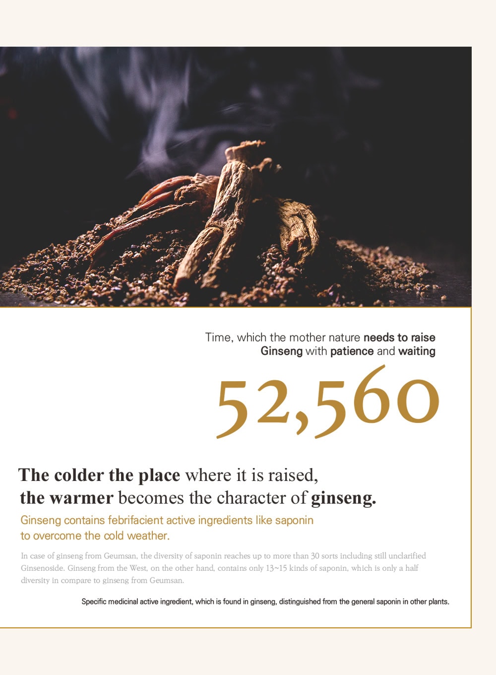 Ginseng Mask (120g)