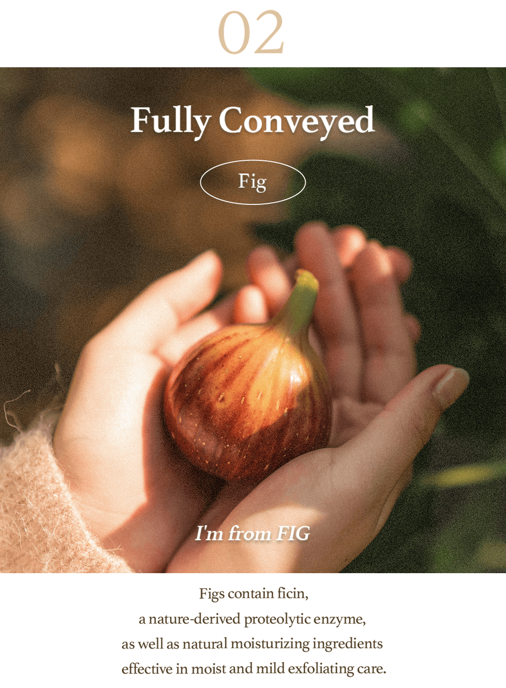 Fig Cleansing Oil (200ml)