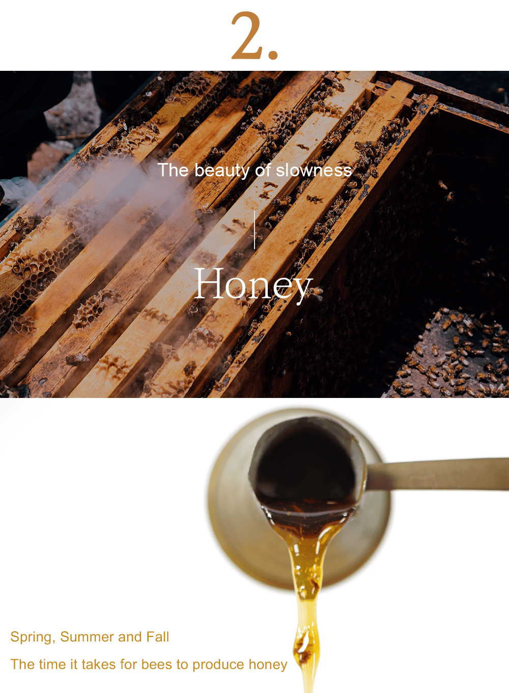 Honey Glow Cream Trio Set (50g*3ea)
