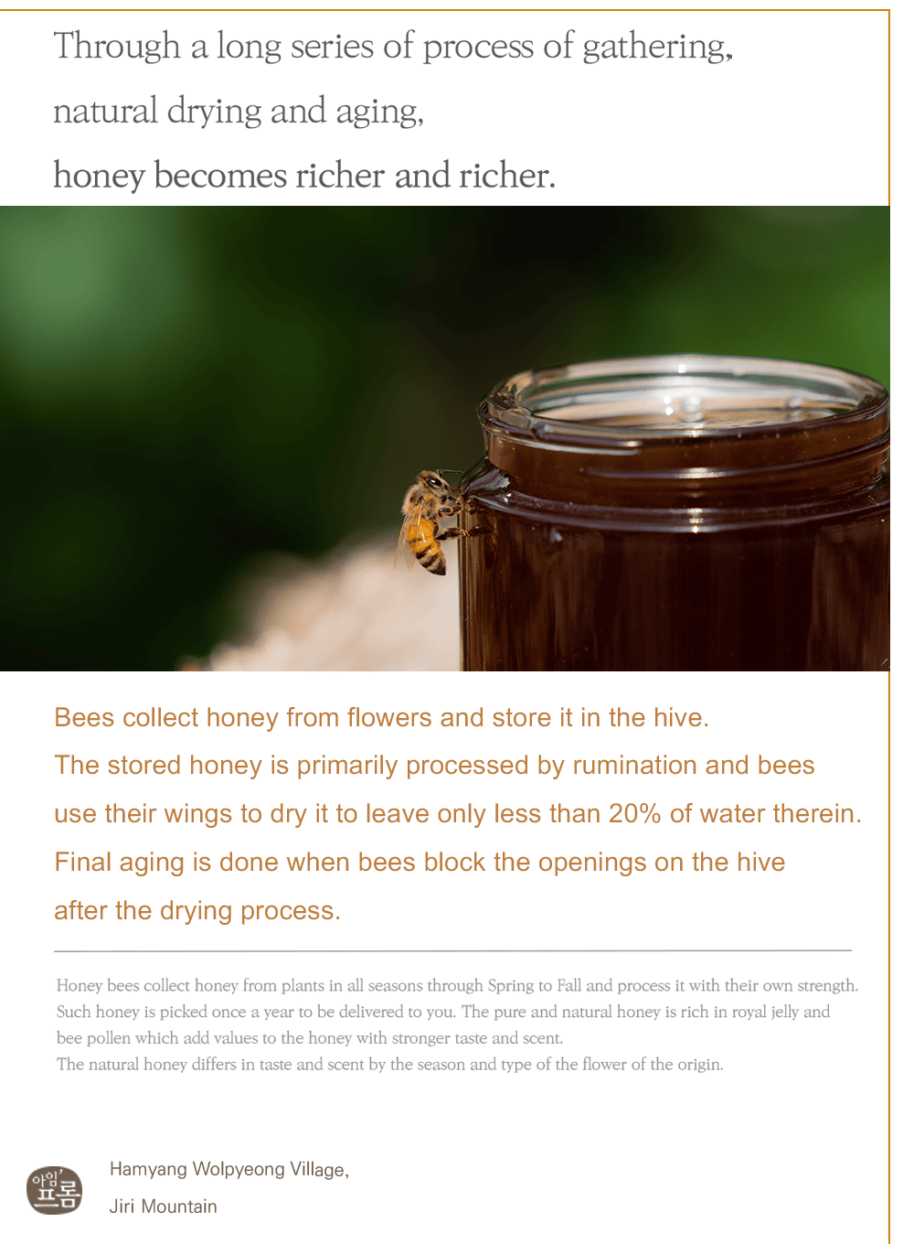 Honey Glow Cream Trio Set (50g*3ea)