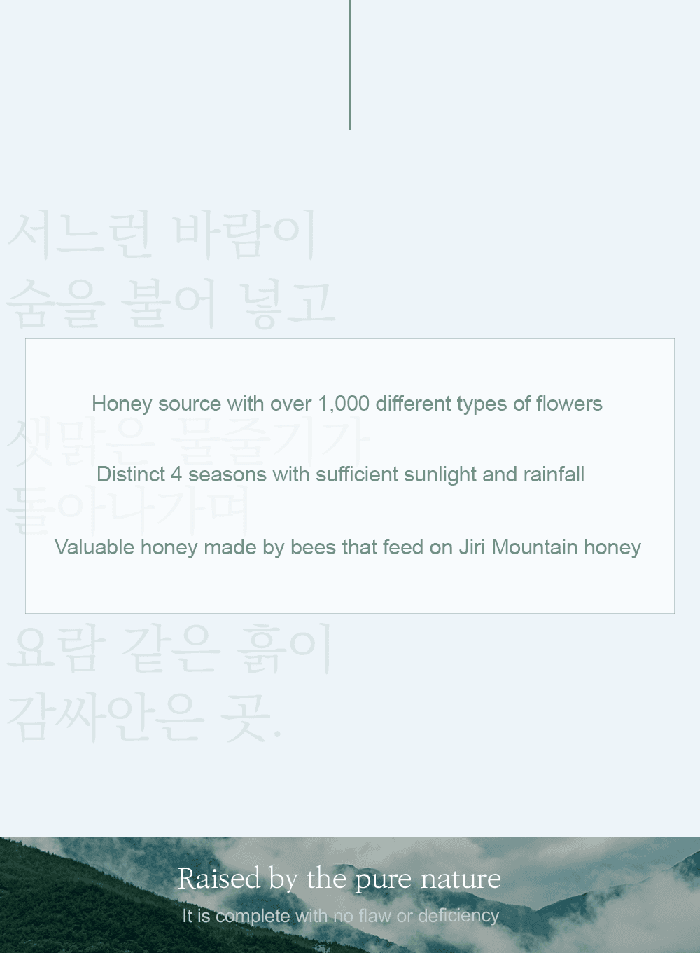 Honey Glow Cream Duo Set (50g*2ea)
